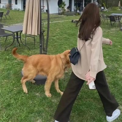 酷狗马马杜